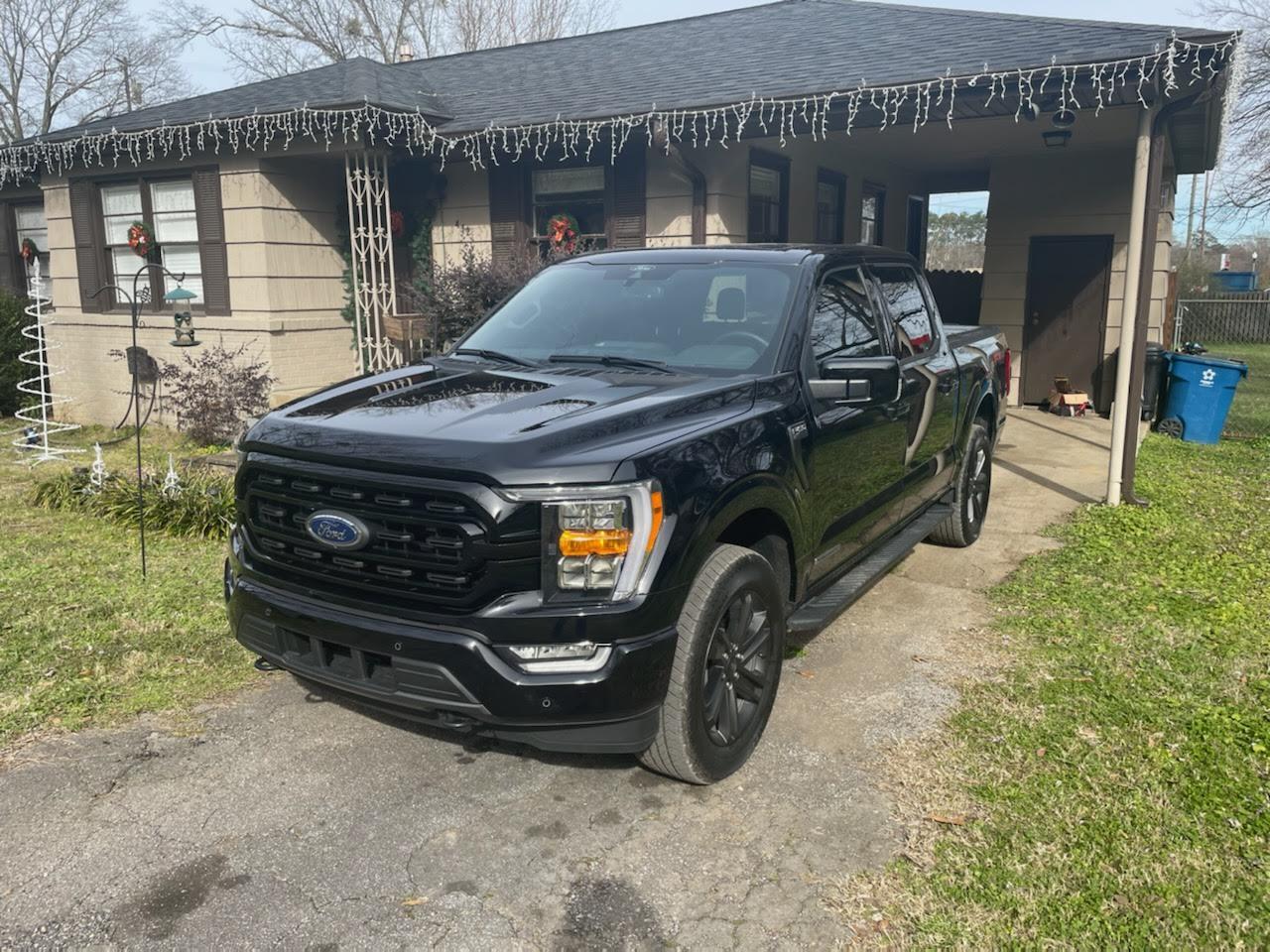 Ford F-150 Lightning Painted the grill and mirror caps on my XLT 1