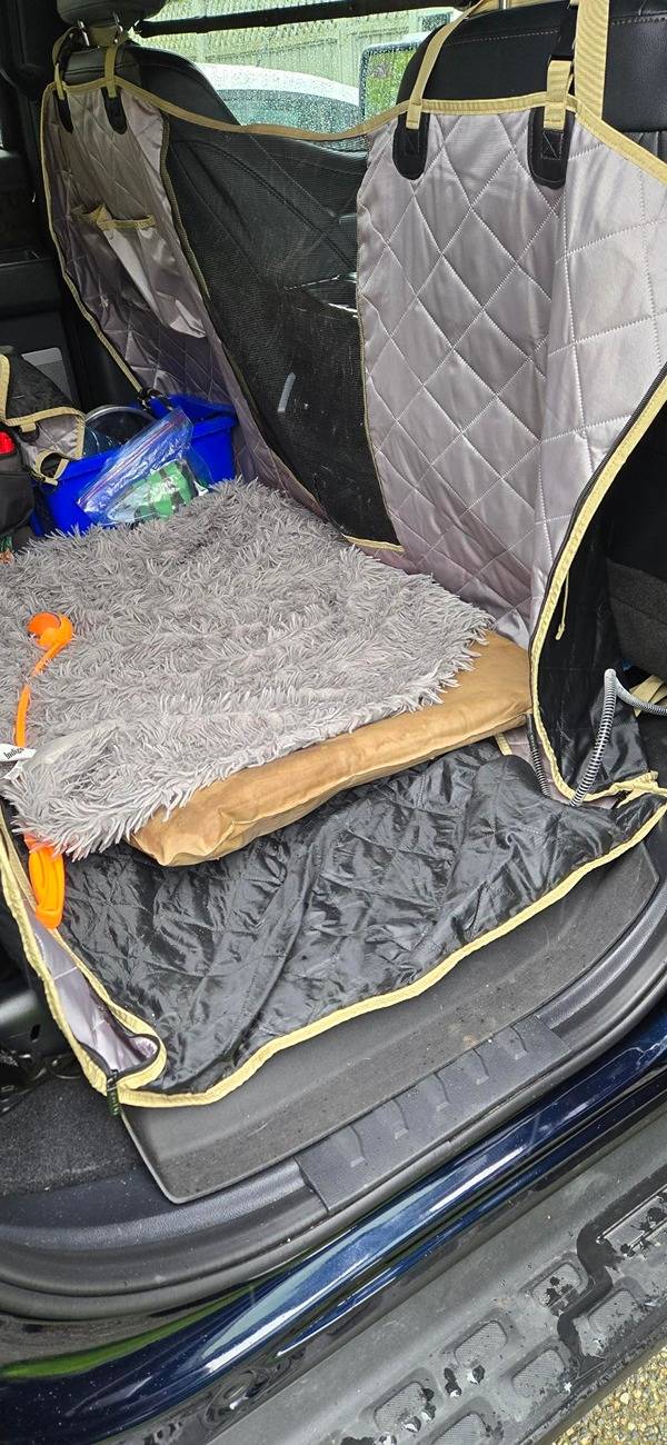 Remote Climate on from Ford Pass app but no power on to cabin plugs for