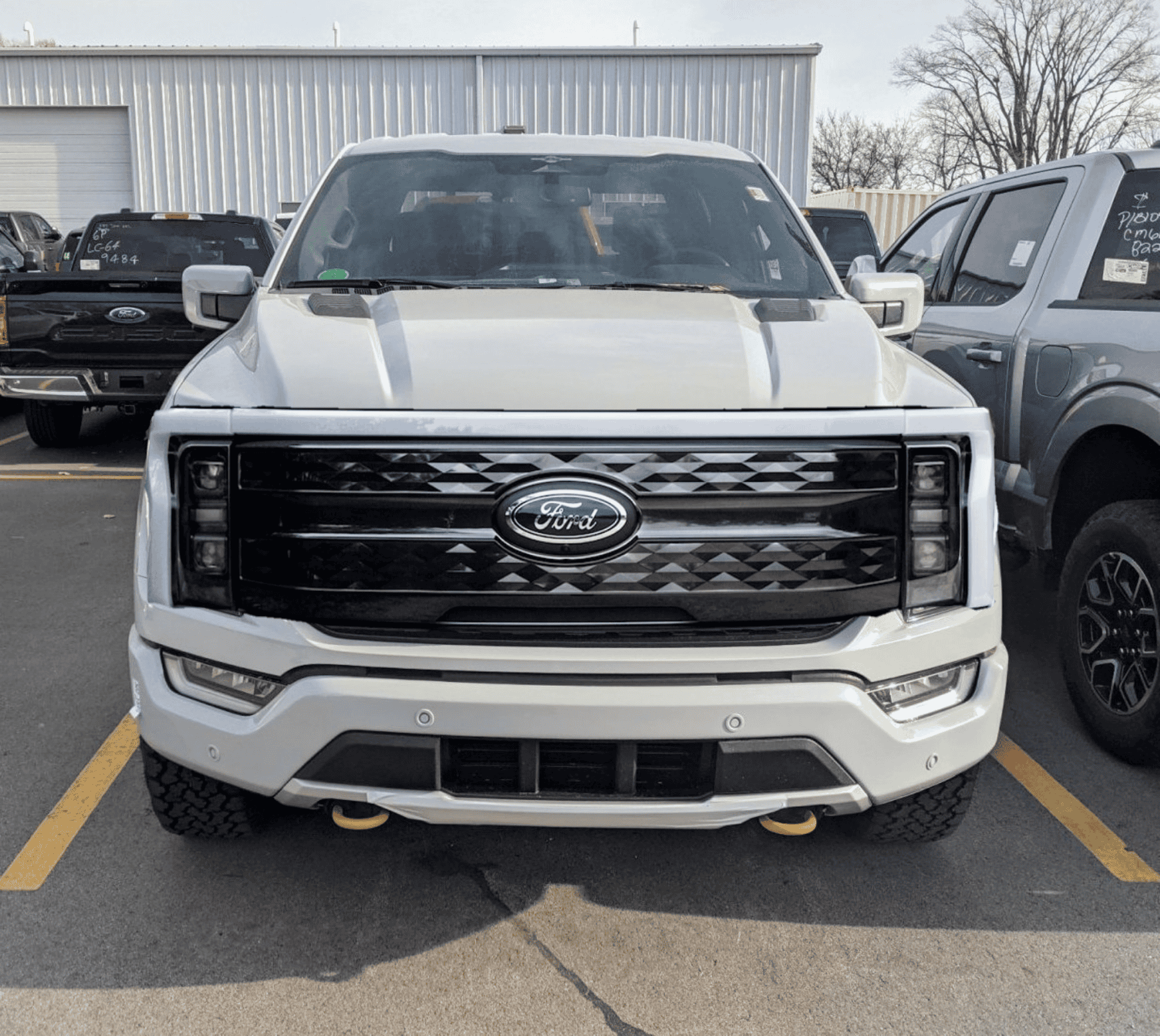 Ford F-150 Lightning AVALANCHE F-150 Lightning Photos & Club 1668514001811