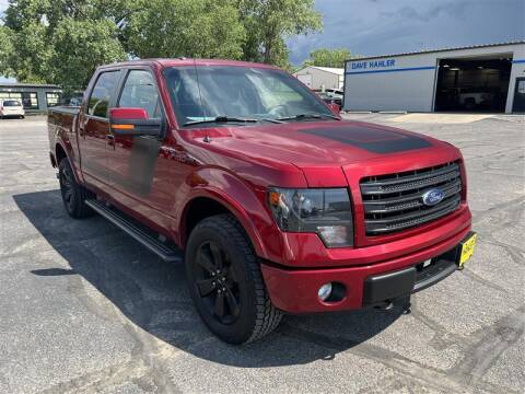 Ford F-150 Lightning T3 reveal at Detroit? 2014-ford-f-150-fx4