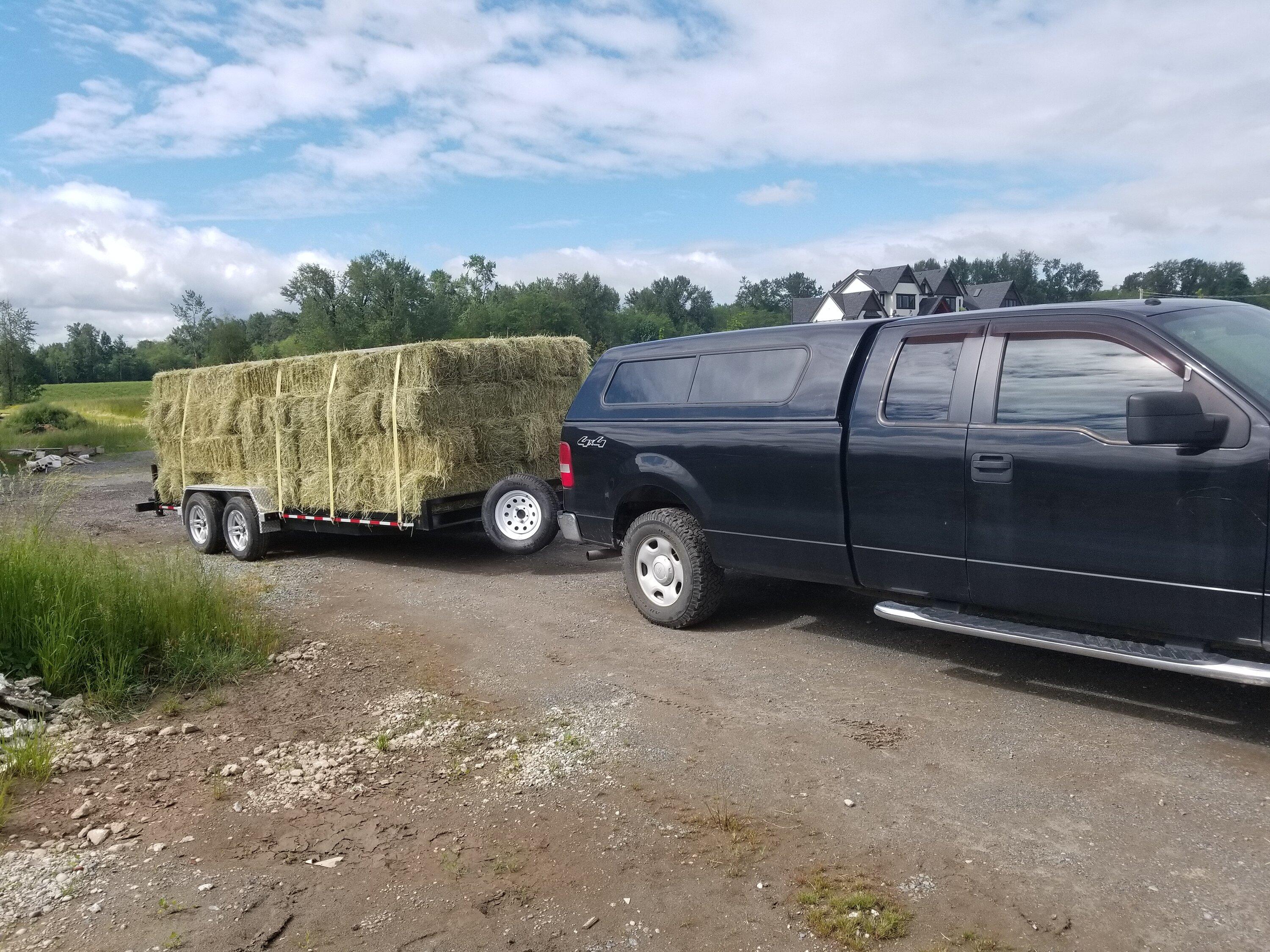 Ford F-150 Lightning Post a picture of your current vehicle 20170602_094452