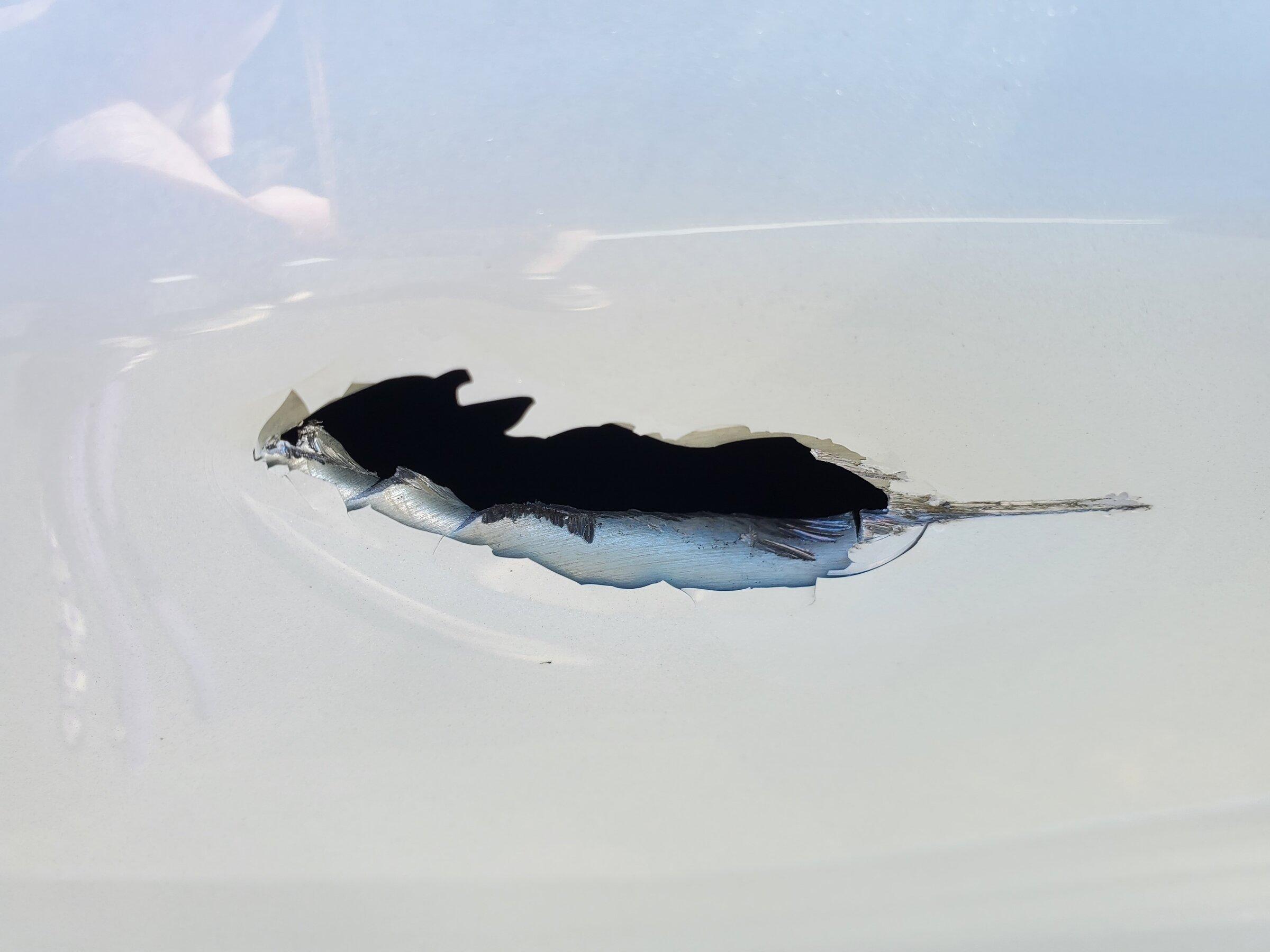 Ford F-150 Lightning Aluminum body damage 20220109_105542