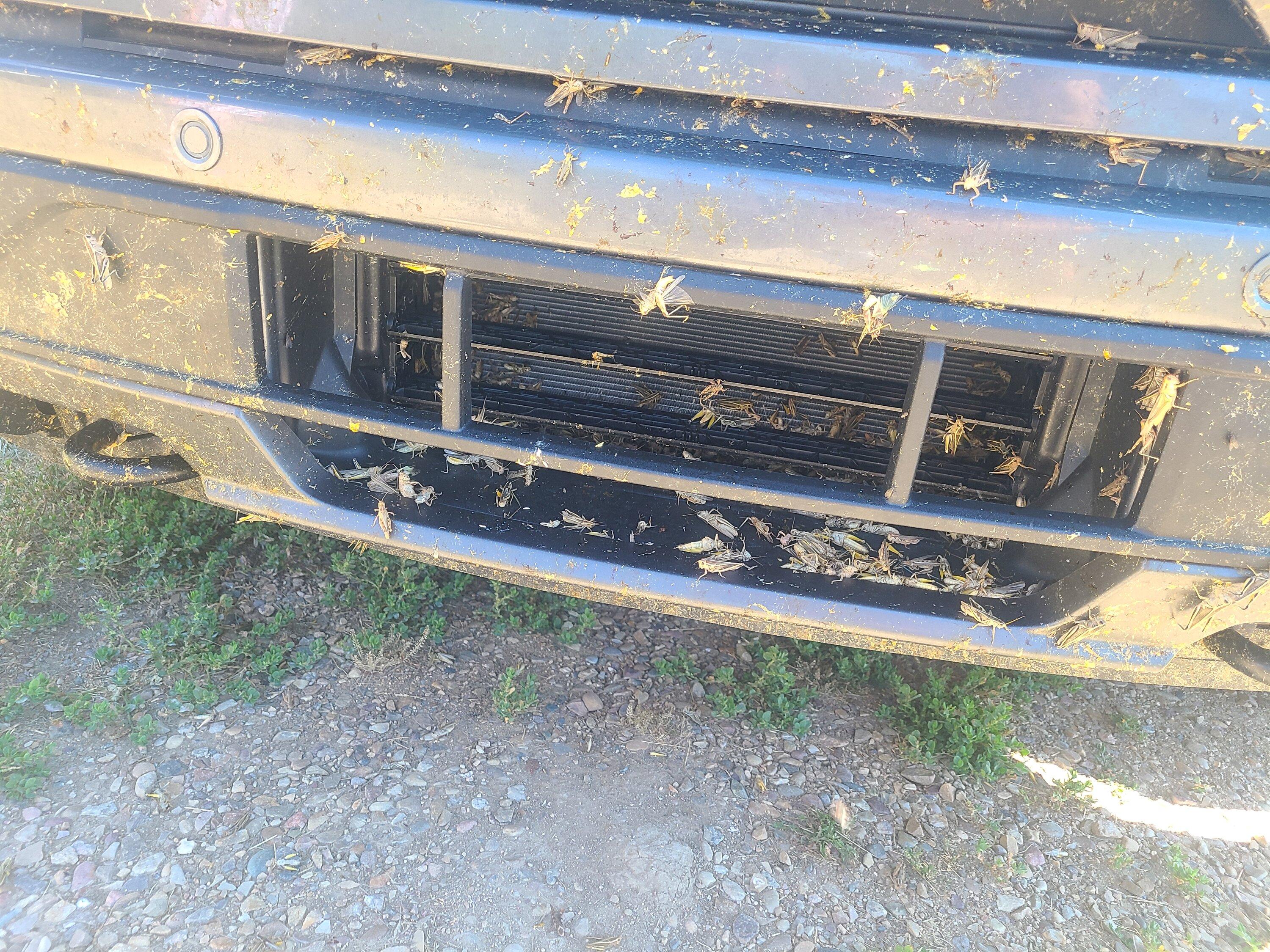 Ford F-150 Lightning Bug protection for front radiator? 20220807_141812
