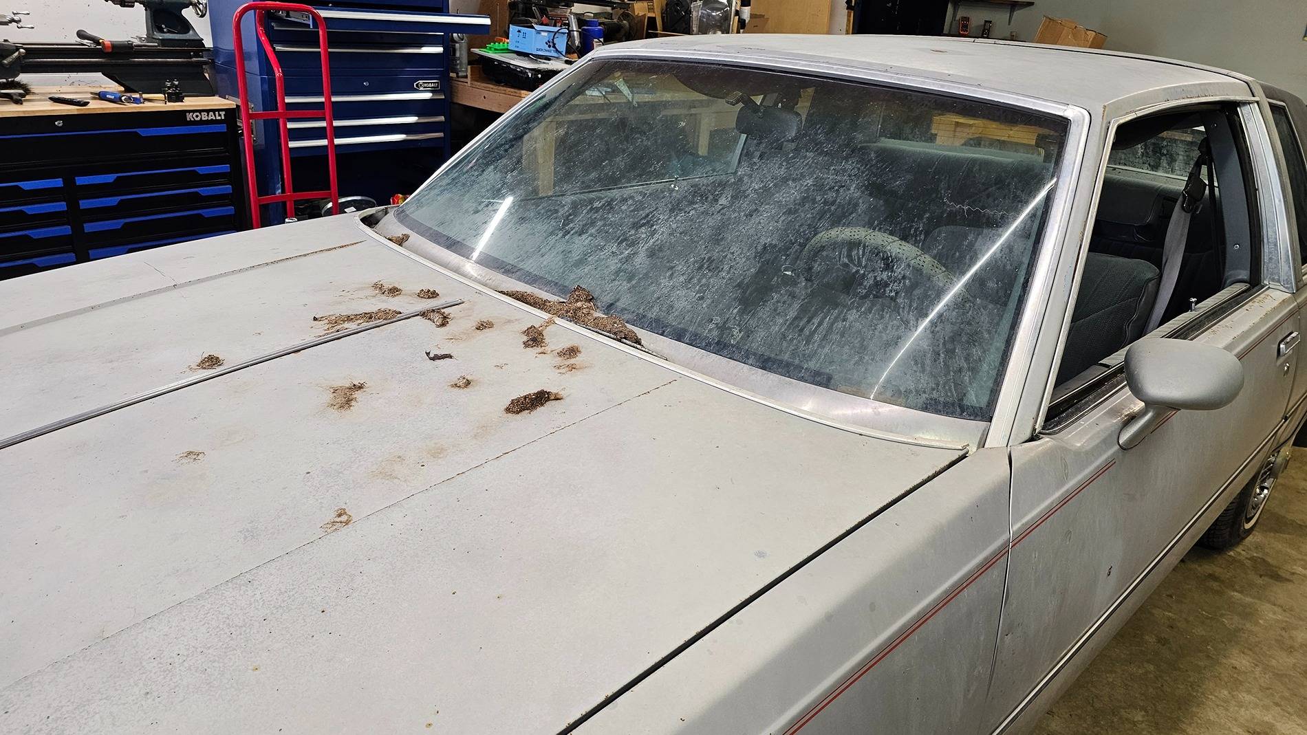 Ford F-150 Lightning Tow Report: Ford Lightning vs. 4500lbs of Raccoon-Covered History 20250413_105550