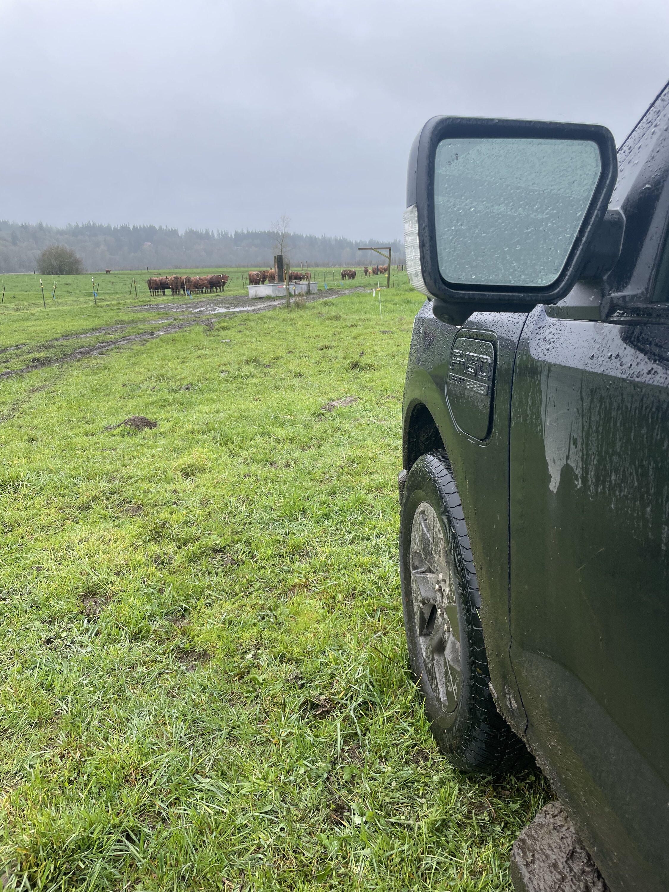 Ford F-150 Lightning Pics of Lightning Trucks Doing Truck Things. Got Any? 📸 49390848-1D4B-41C7-B57D-359C1E150197