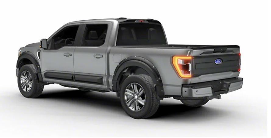 Ford F-150 Lightning Paint to match or satin black accessories 76065CBF-7C5F-4642-8712-55F3AA9D4188