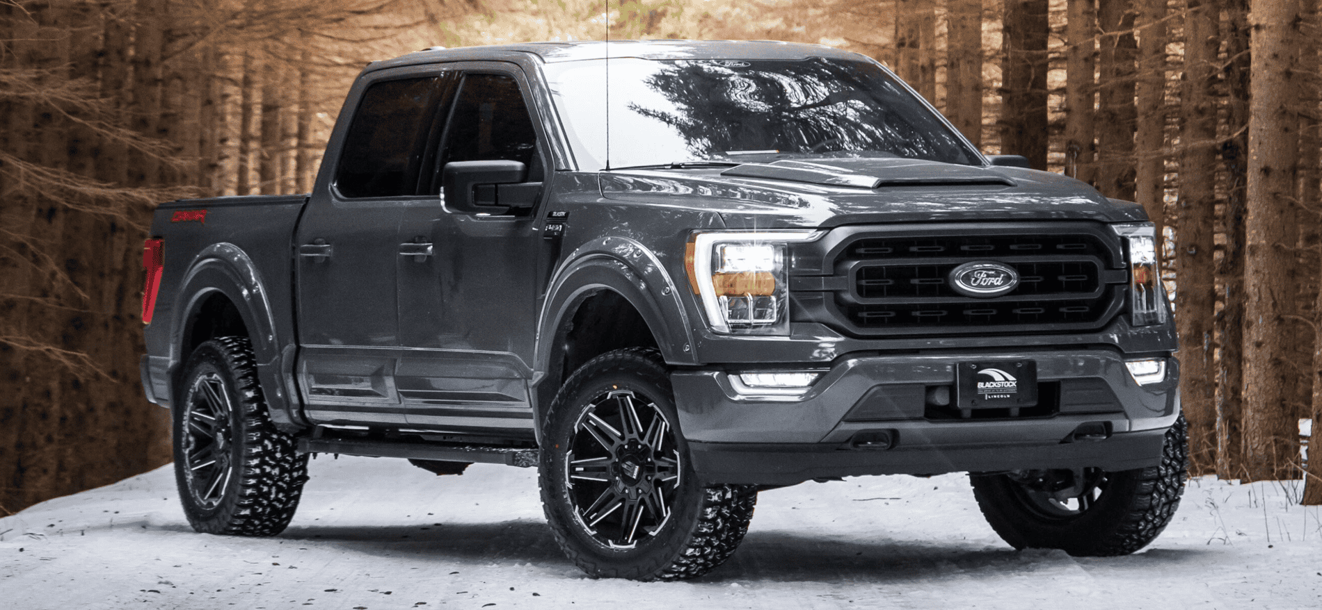 Ford F-150 Lightning Paint to match or satin black accessories B6E2FEE6-2C24-47EE-9962-4C1B4874816D