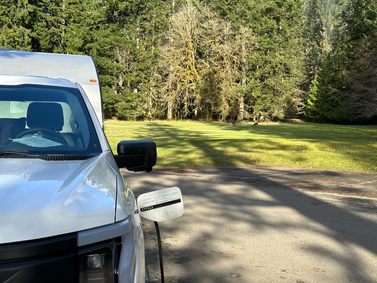 Ford F-150 Lightning Pics of Lightning Trucks Doing Truck Things. Got Any? 📸 BA6B8DE9-0C92-4E3A-A1C9-45156C5FAC3F