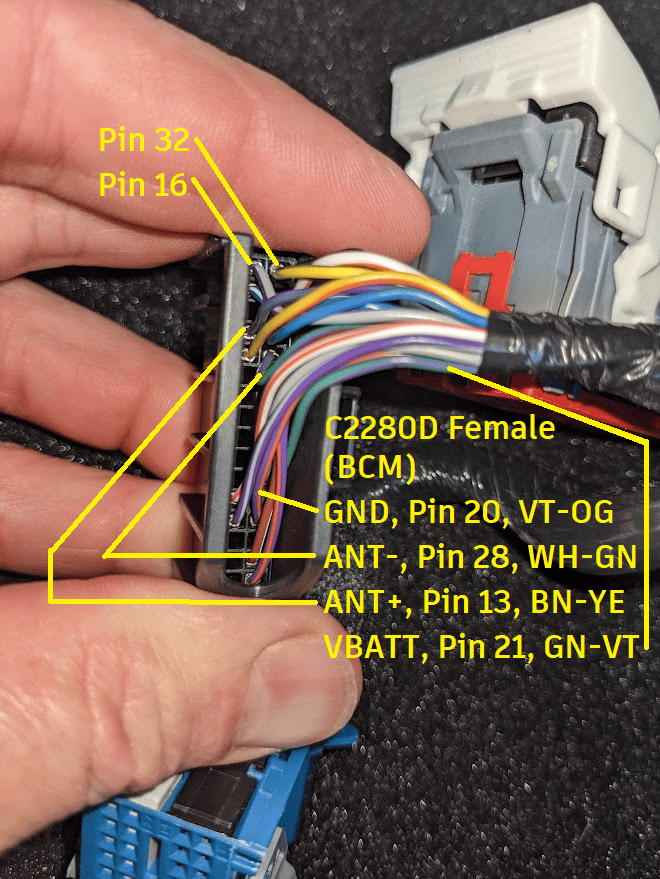 C2280D Female Back Labeled.png