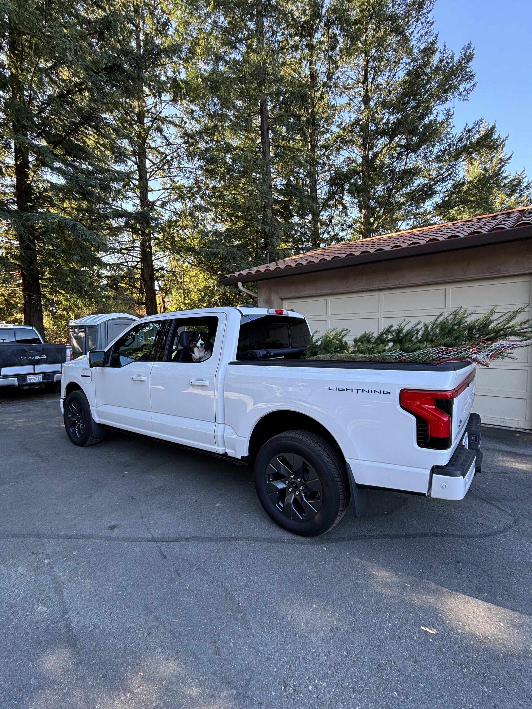 Ford F-150 Lightning Pics of Lightning Trucks Doing Truck Things. Got Any? 📸 IMG_0315