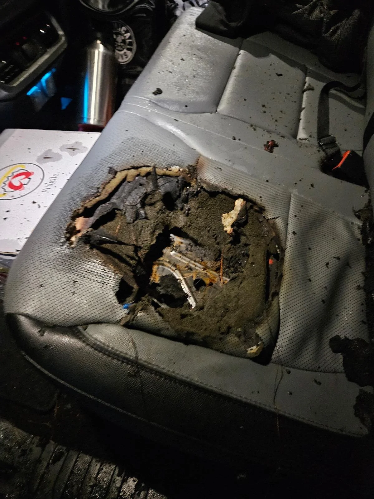 Ford F-150 Lightning Dog turned on rear seat heaters IMG_1263
