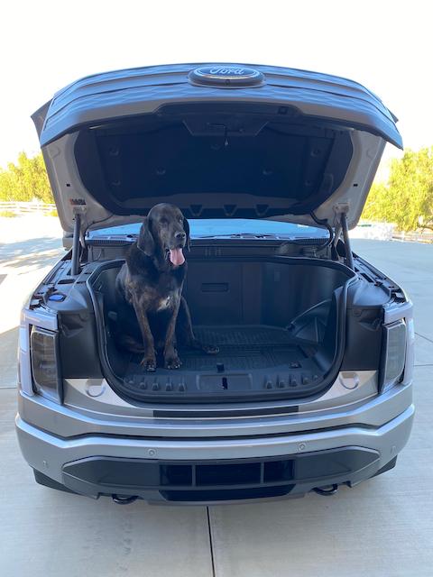 Ford F-150 Lightning Post a pic of your Dog in your new Lightning 😁 IMG_2836