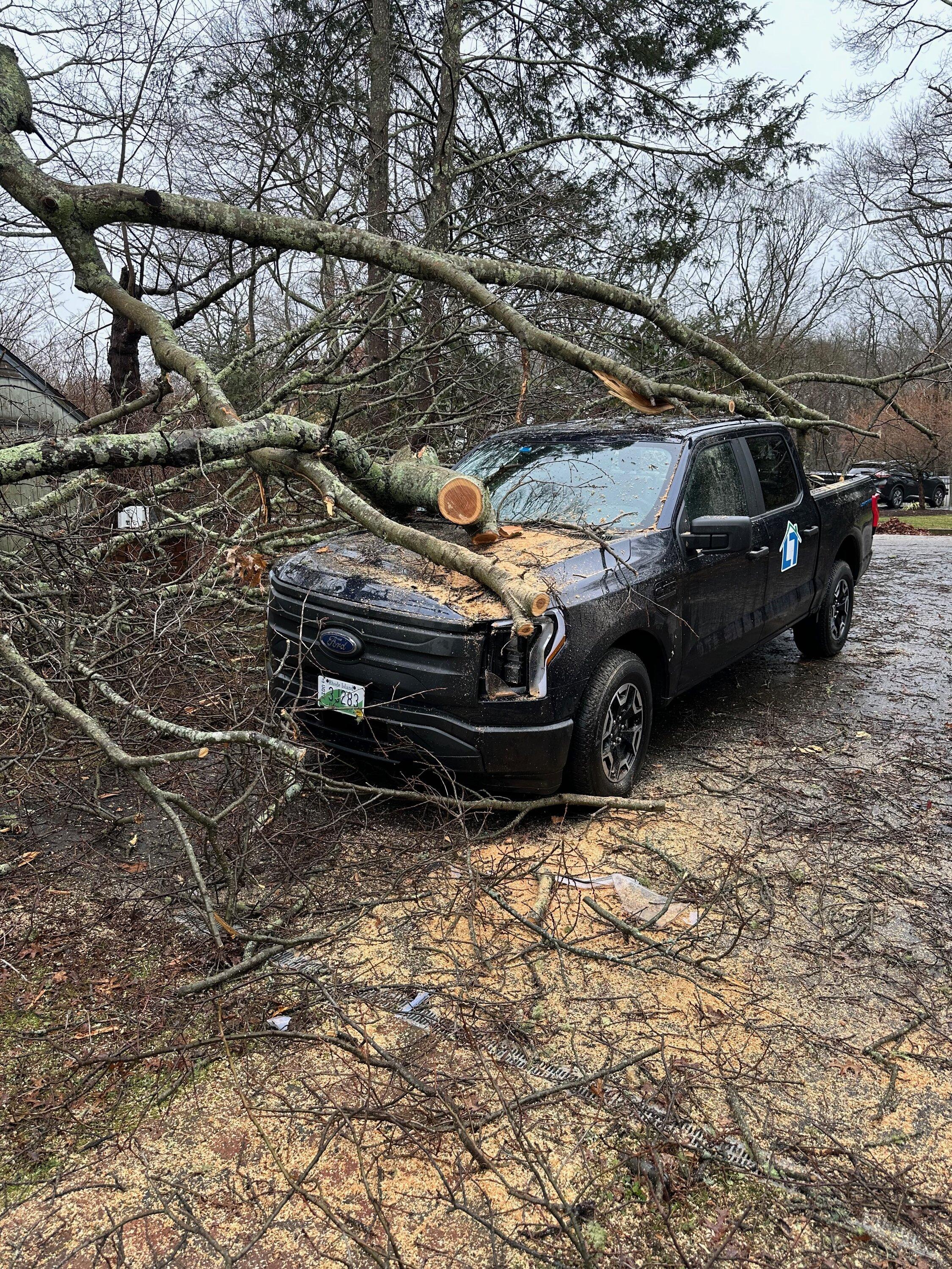 Ford F-150 Lightning Having a Bad Day today - Ford vs Tree this morning IMG_3368