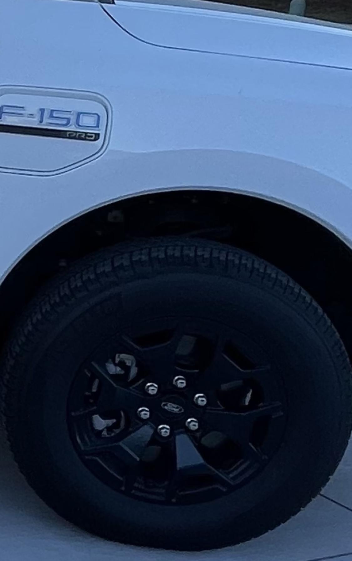 Ford F-150 Lightning Pro wheels on a Platinum IMG_4081
