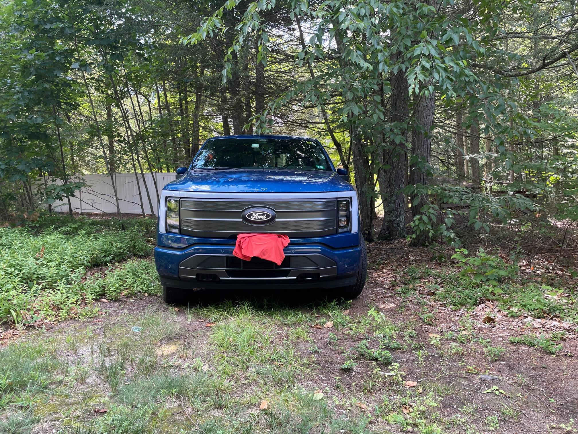 Ford F-150 Lightning 🙋‍♂️ What Did You Do To Your Lightning Today? IMG_5161