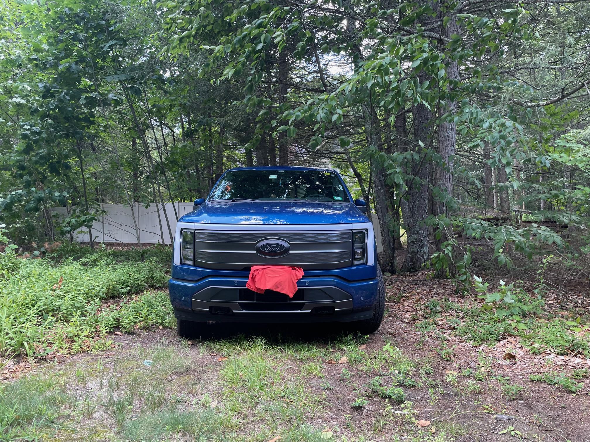 Ford F-150 Lightning 🙋‍♂️ What Did You Do To Your Lightning Today? IMG_5162