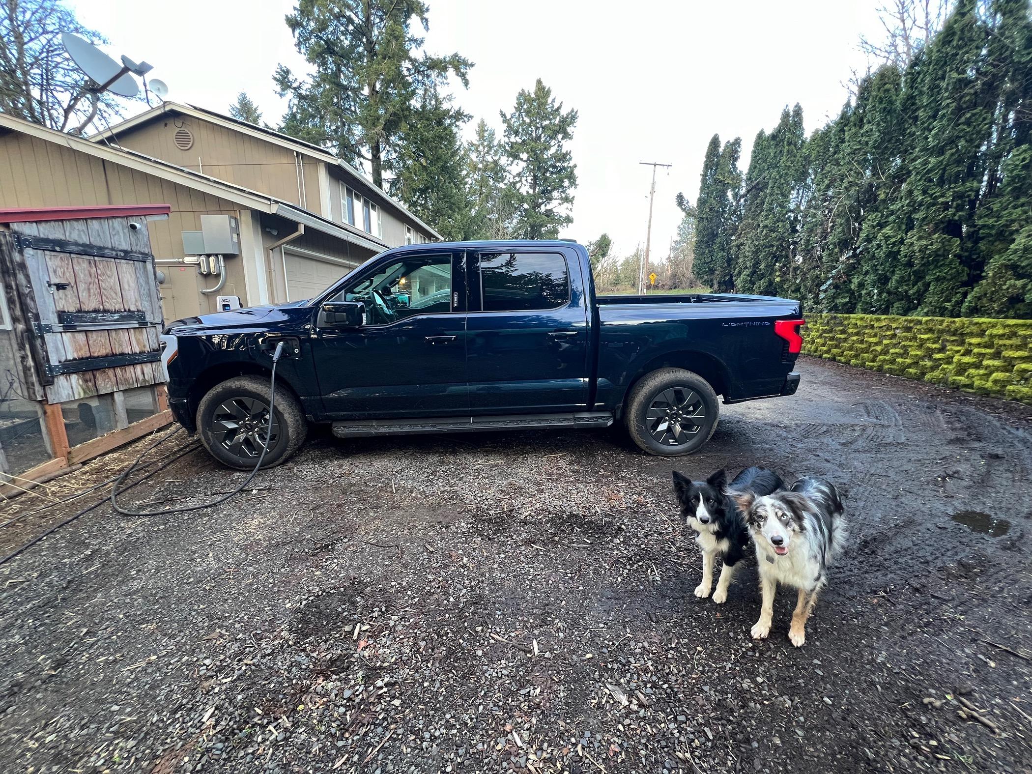 Ford F-150 Lightning RIP Adira Tal: My F-150 Lightning Saved Me IMG_5689