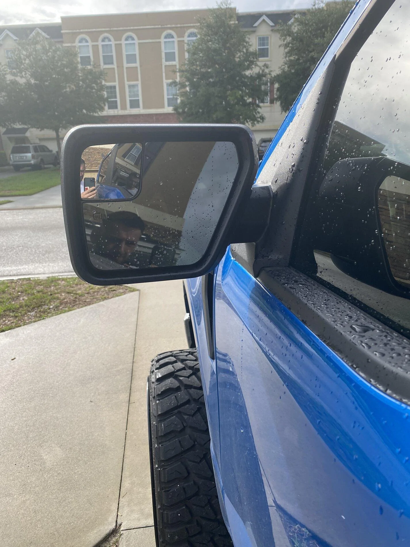 Ford F-150 Lightning OEM Standard Mirrors IMG_6211