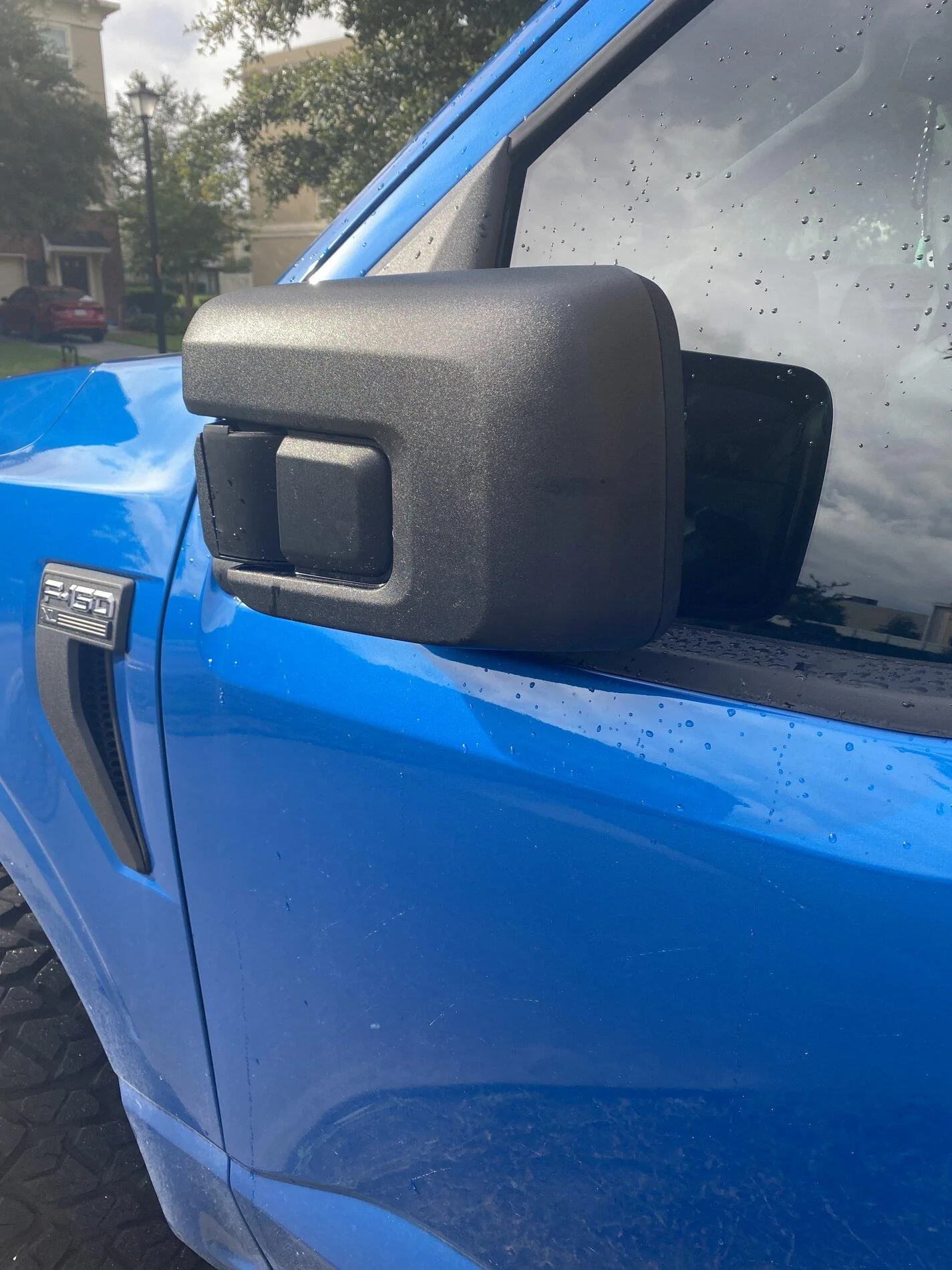 Ford F-150 Lightning OEM Standard Mirrors IMG_6212