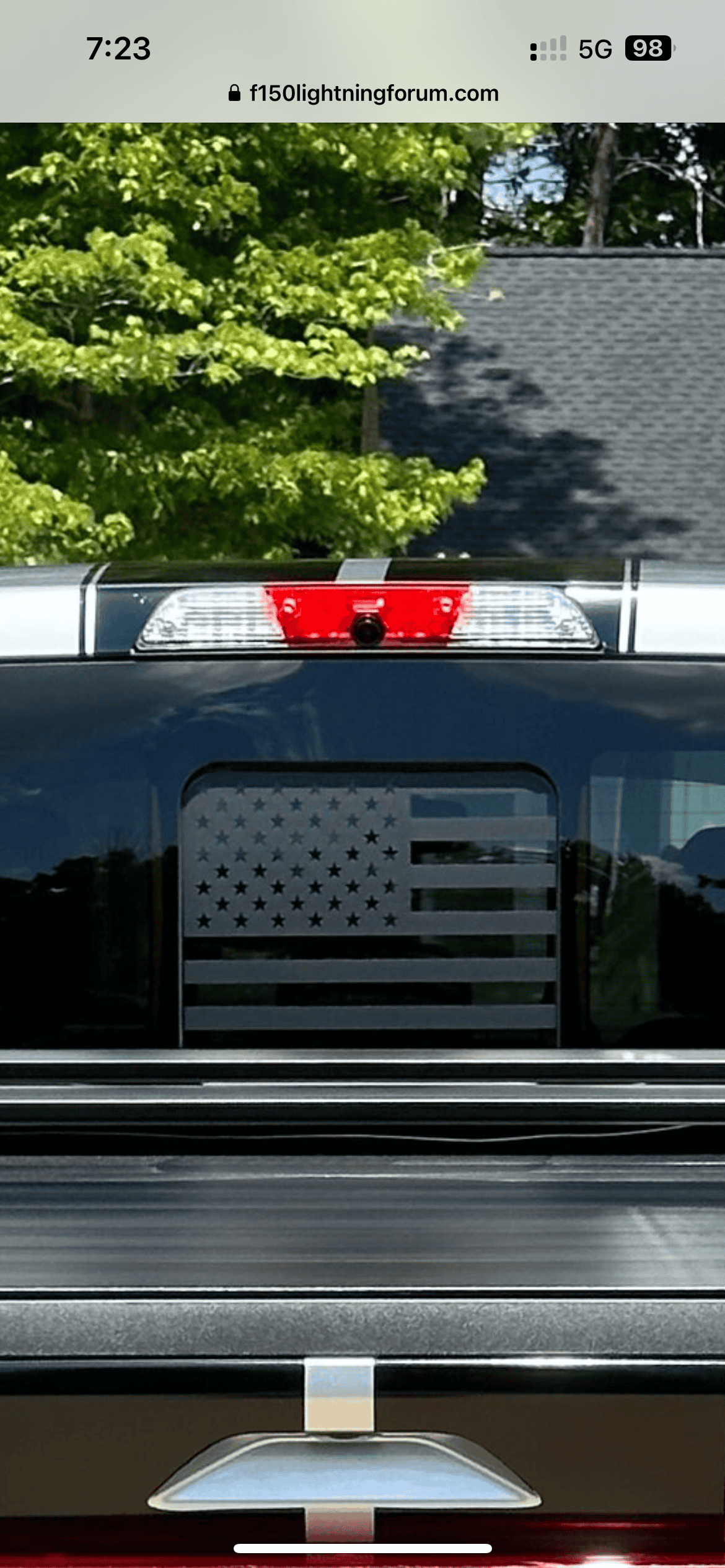 Ford F-150 Lightning Bumper paint and racing stripes on my Lightning IMG_6313