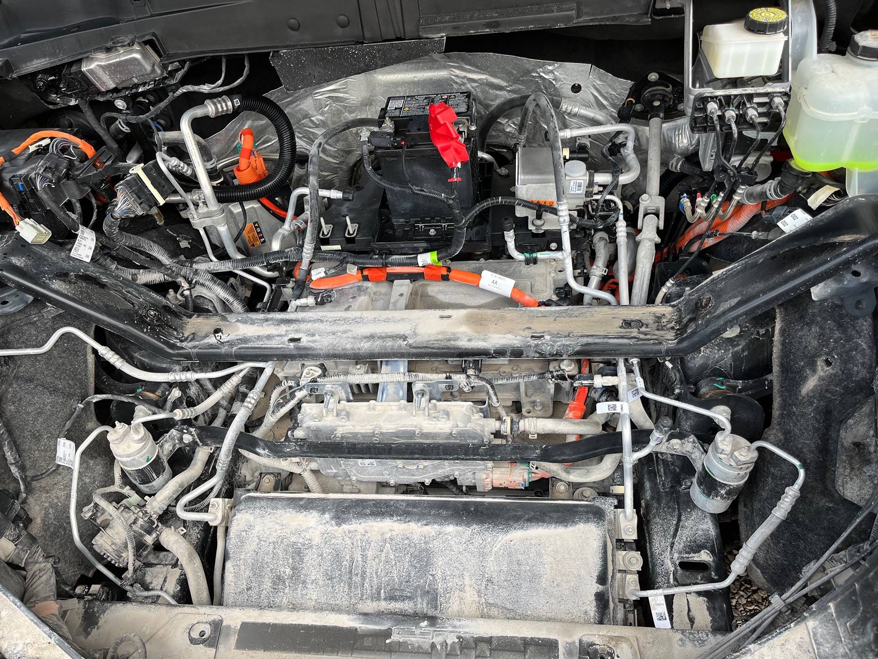 Ford F-150 Lightning Road Salt, and other undercarriage cleaning process IMG_7455