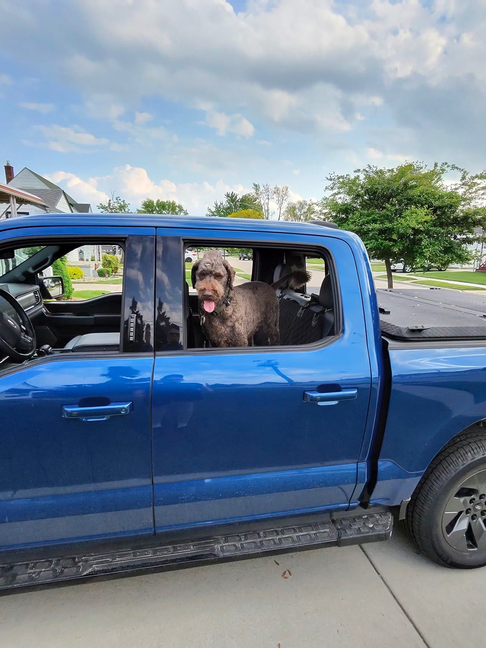Ford F-150 Lightning Post a pic of your Dog in your new Lightning 😁 photo-35_singular_display_fullPictur
