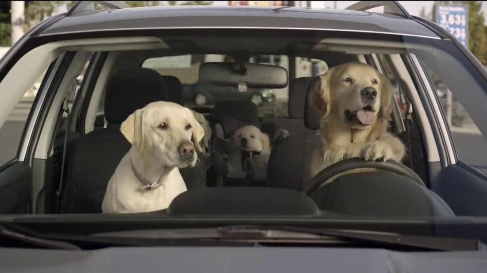 Ford F-150 Lightning Leaving AC running with truck locked? - SOLVED! subaru-dog-tested-gas-station-large-9
