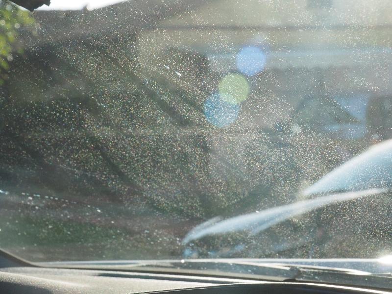 Ford F-150 Lightning Windshield tiny dots specks that show in bright sunlight? VC063369.JPG