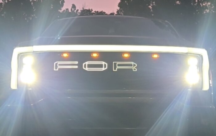Animated Raptor Lights