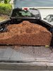 IMG_1682.jpeg