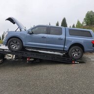found_on_road_dead